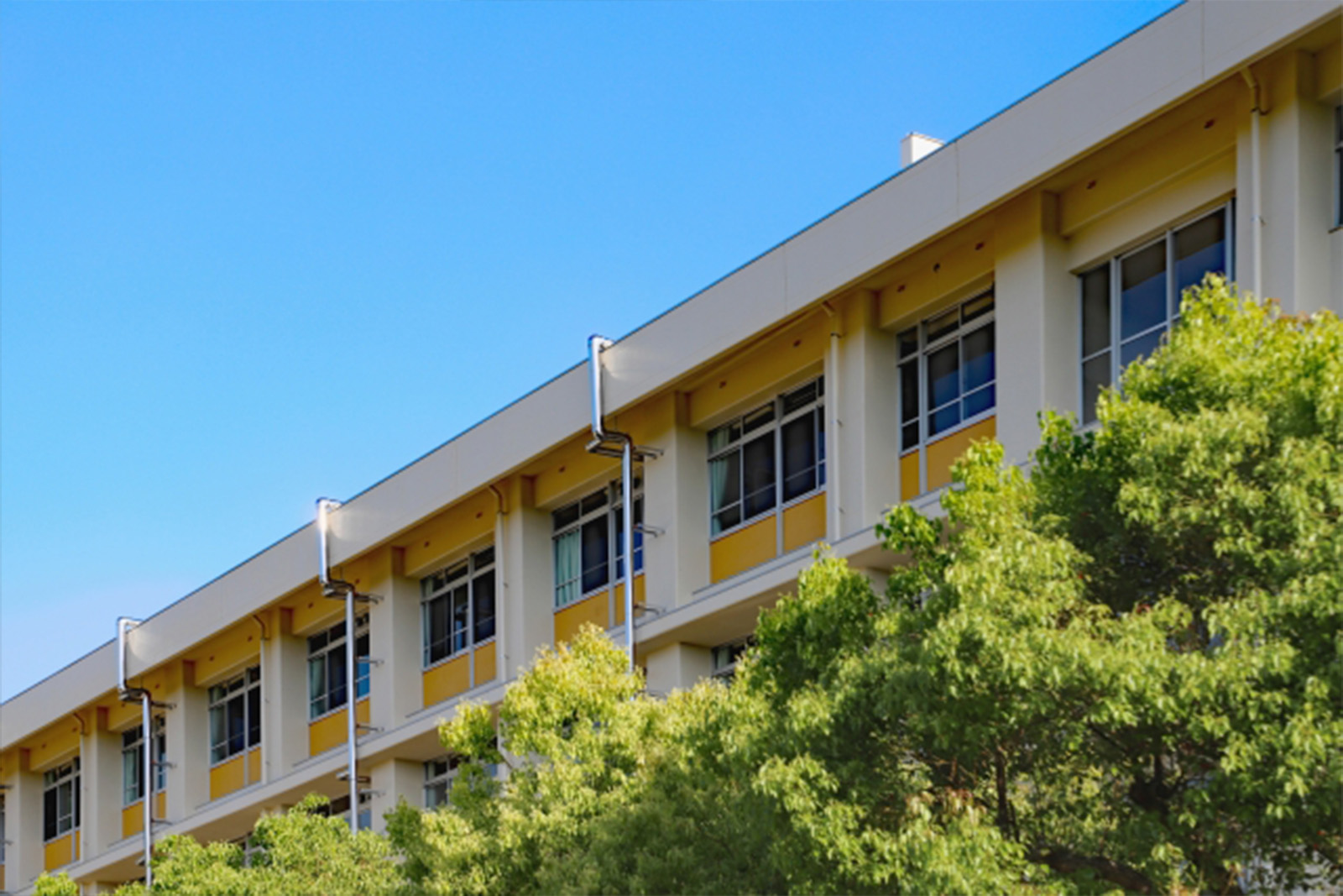 埼玉純真短期大学