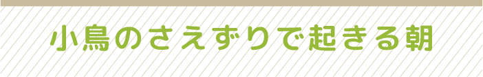 小鳥のさえずりで起きる朝
