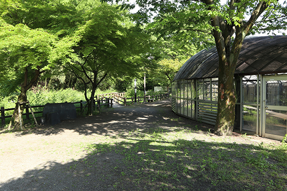 ほたる公園