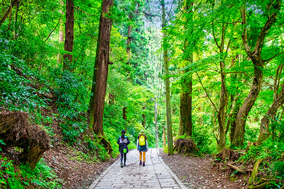 高尾山登山道