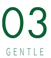 03 GENTLE