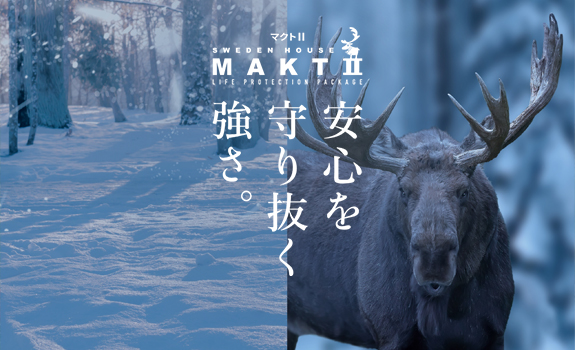 マクトⅡ
