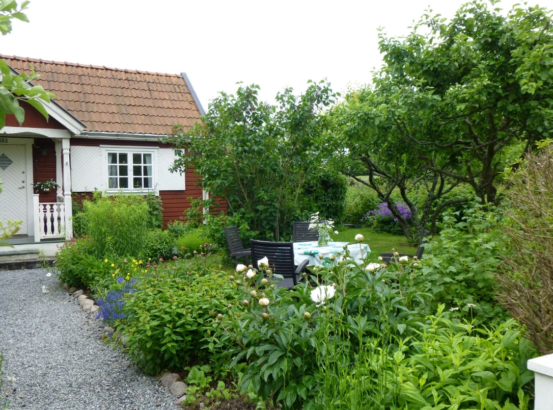 緑豊かな庭の風景