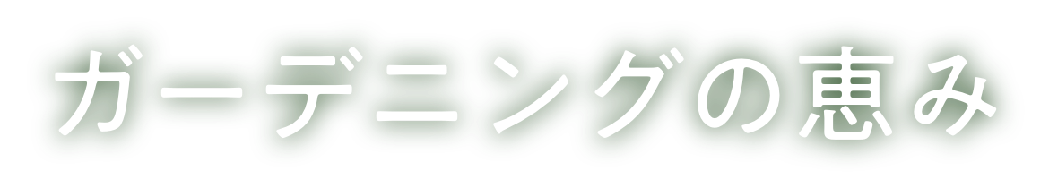 ガーデニングの恵み