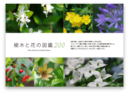 Green Celebration sample01