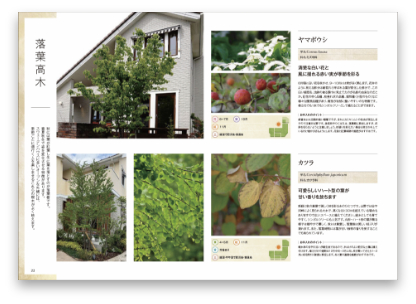 Green Celebration sample02