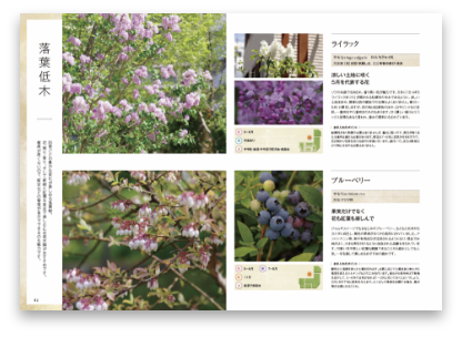 Green Celebration sample03