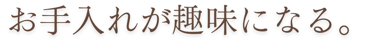 常春の窓辺でリラックス。
